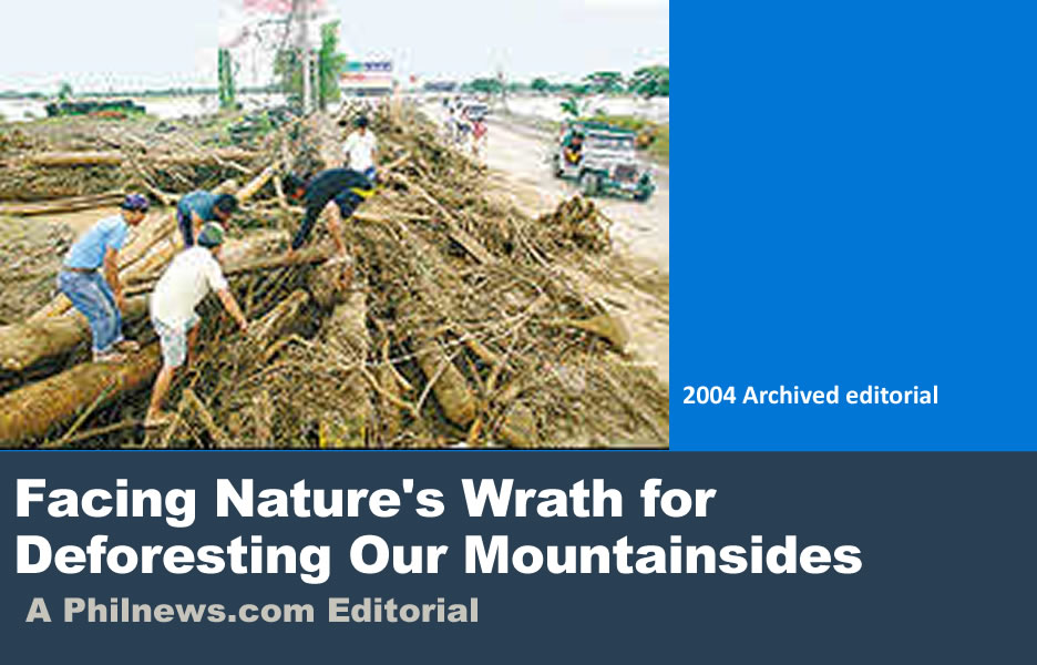 Facing Nature's Wrath for Deforesting Our Mountainsides